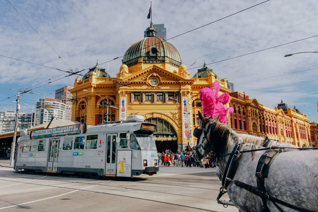 Vegan Gift Hampers To Enjoy in Melbourne