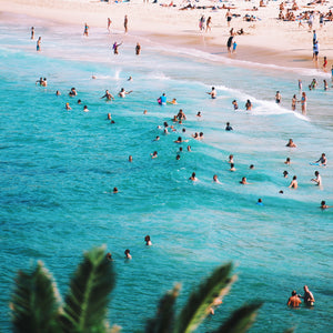 Best Sydney Summer Events To Enjoy A Picnic Hamper