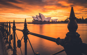The Best Spots To Devour A Picnic Basket In Sydney